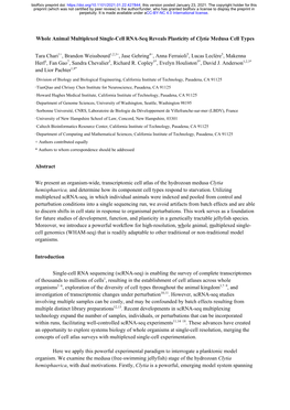 Whole Animal Multiplexed Single-Cell RNA-Seq Reveals Plasticity of Clytia Medusa Cell Types