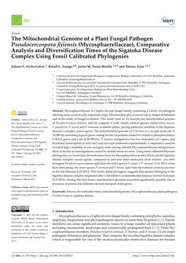 The Mitochondrial Genome of a Plant Fungal Pathogen Pseudocercospora Fijiensis (Mycosphaerellaceae), Comparative Analysis and Di