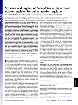 Structure and Regulon of Campylobacter Jejuni Ferric Uptake Regulator Fur Deﬁne Apo-Fur Regulation