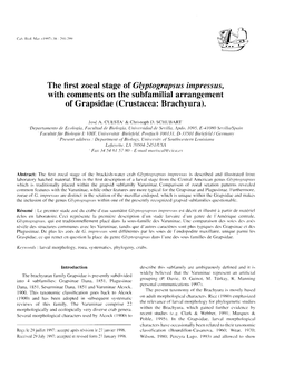 The First Zoeal Stage of Glyptograpsus Impressus, with Comments on the Subfamilial Arrangement of Grapsidae (Crustacea: Brachyura)