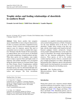 Trophic Niches and Feeding Relationships of Shorebirds in Southern Brazil