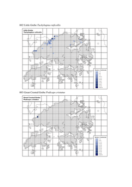 002 Little Grebe Tachybaptus Ruficollis 003 Great Crested Grebe Podiceps