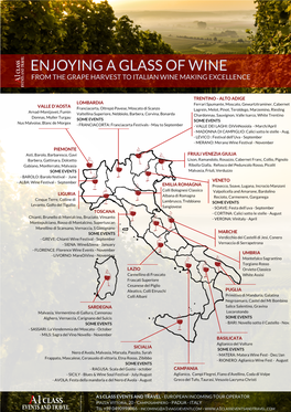 Wine from the Grape Harvest to Italian Wine Making Excellence