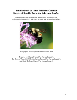 Status Review of Three Formerly Common Species of Bumble Bee in the Subgenus Bombus