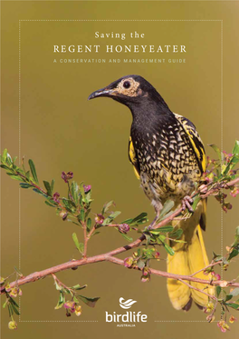 Saving the REGENT HONEYEATER a CONSERVATION and MANAGEMENT GUIDE