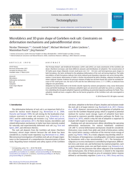 Microfabrics and 3D Grain Shape of Gorleben Rock Salt: Constraints on Deformation Mechanisms and Paleodifferential Stress