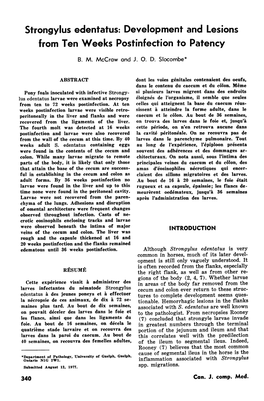 Strongylus Edentatus: Development and Lesions from Ten Weeks Postinfection to Patency