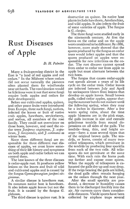 RUST DISEASES of APPLE 659 Miles from Redcedars at Altitudes up Irregular in Shape Than the Apple Rust to One-Half Mile