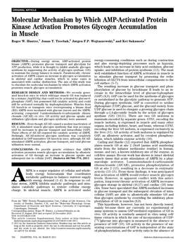 Molecular Mechanism by Which AMP-Activated Protein Kinase Activation Promotes Glycogen Accumulation in Muscle Roger W