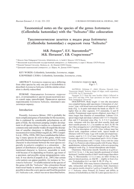 Taxonomical Notes on the Species of the Genus Isotomurus (Collembola: Isotomidae) with the “Balteatus”-Like Colouration