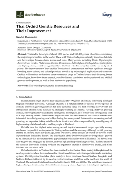 Thai Orchid Genetic Resources and Their Improvement