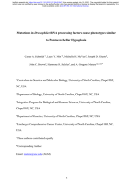 Mutations in Drosophila Trna Processing Factors Cause Phenotypes Similar