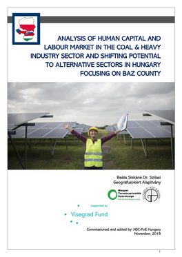 Analysis of Human Capital and Labour Market in the Coal & Heavy