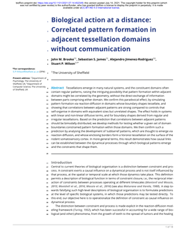 Correlated Pattern Formation in Adjacent Tessellation Domains Without Communication