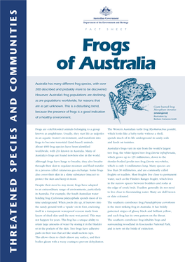 Frogs of Australia