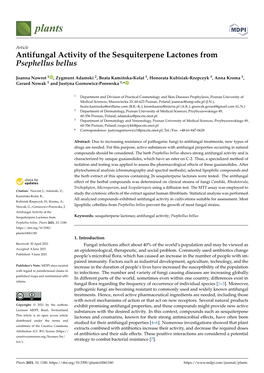 Antifungal Activity of the Sesquiterpene Lactones from Psephellus Bellus