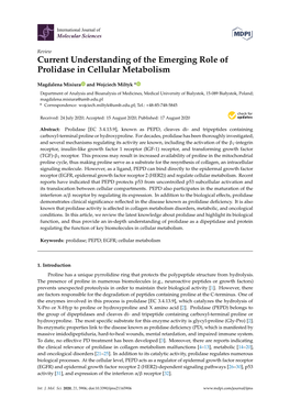 Current Understanding of the Emerging Role of Prolidase in Cellular Metabolism