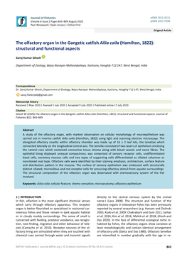 The Olfactory Organ in the Gangetic Catfish Ailia Coila (Hamilton, 1822): Structural and Functional Aspects