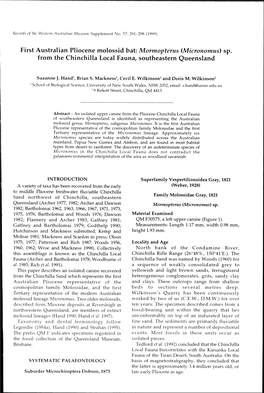 First Australian Pliocene Molossid Bat: Mormopterus (Micronomus) Sp