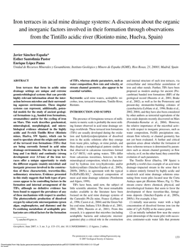 Iron Terraces in Acid Mine Drainage Systems