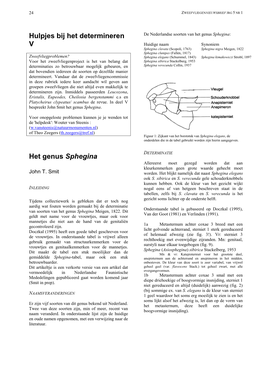 Hulpjes Bij Het Determineren V Het Genus Sphegina