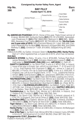 BAY FILLY Barn 21 Hip No