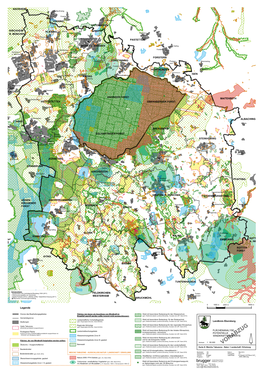 VORABZUG N Ökokonto- / Ausgleichsflächen Bannwald Wald Mit Besonderer Bedeutung Für Das Landschaftsbild (Gem