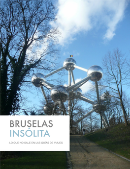 Bruselas Insólita