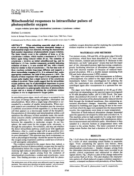 Mitochondrial Responses to Intracellular Pulses Of