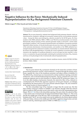 Mechanically Induced Hyperpolarization Via K2P Background Potassium Channels