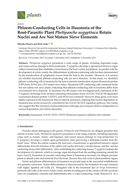 Phloem-Conducting Cells in Haustoria of the Root-Parasitic Plant Phelipanche Aegyptiaca Retain Nuclei and Are Not Mature Sieve Elements