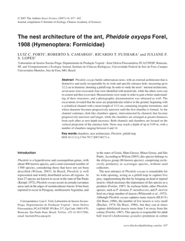 The Nest Architecture of the Ant, Pheidole Oxyops Forel, 1908 (Hymenoptera: Formicidae)