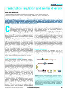 Transcription Regulation and Animal Diversity