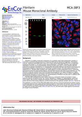 MCA-38F3 Mouse Monoclonal Antibody