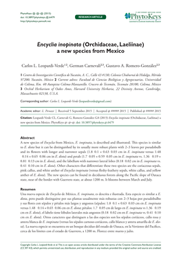 Encyclia Inopinata (Orchidaceae, Laeliinae) a New Species from Mexico