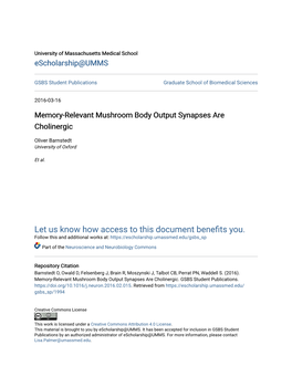 Memory-Relevant Mushroom Body Output Synapses Are Cholinergic