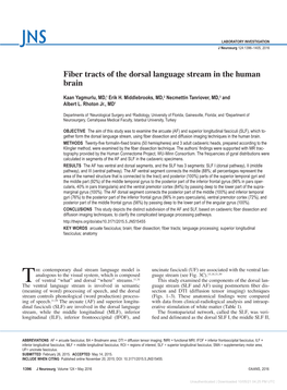 Fiber Tracts of the Dorsal Language Stream in the Human Brain