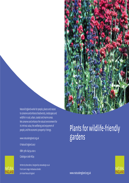 4891 Ne Plants Wildlife Friendly