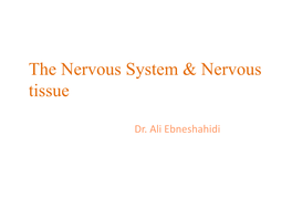 The Nervous System & Nervous Tissue