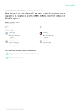 Hoarding and Horizontal Transfer Led to an Expanded Gene and Intron Repertoire in the Plastid Genome of the Diatom, Toxarium Undulatum (Bacillariophyta)