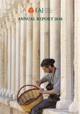 2018 FAI Annual Report