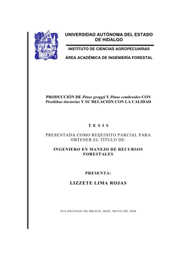 PRODUCCIÓN DE Pinus Greggii Y Pinus Cembroides CON Pisolithus Tinctorius Y SU RELACIÓN CON LA CALIDAD