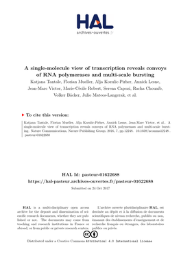 A Single-Molecule View of Transcription Reveals Convoys Of