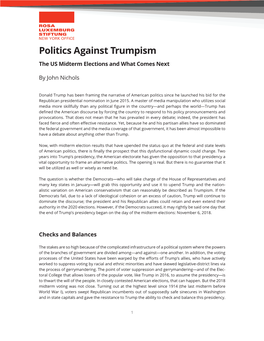 Politics Against Trumpism the US Midterm Elections and What Comes Next