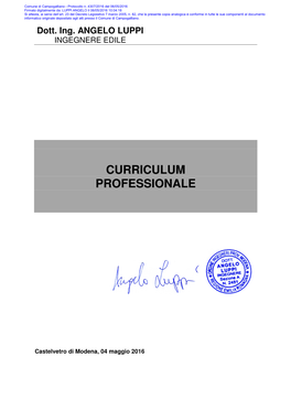 Curriculum Professionale