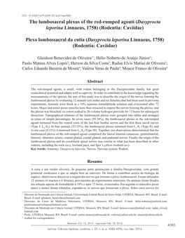 The Lumbosacral Plexus of the Red-Rumped Agouti (Dasyprocta Leporina Linnaeus, 1758) (Rodentia: Caviidae)