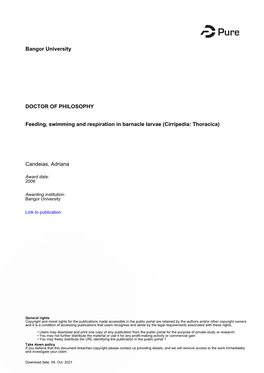 Candeias Phd 2006.Pdf