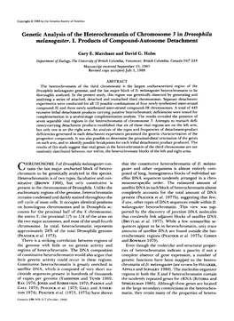 Genetic Analysis of the Heterochromatin of Chromosome 3