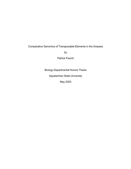 Comparative Genomics of Transposable Elements in the Grasses