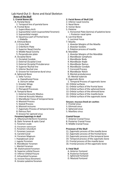 Bone and Axial Skeleton Bones of the Skull 1